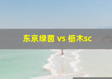 东京绿茵 vs 枥木sc